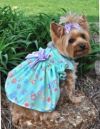 Peppermint party dress